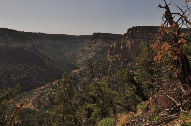 The Petroglyph Trail 